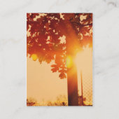 日没の木 名刺 (裏面)