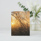 日没の枝 ポストカード (スタンド正面)