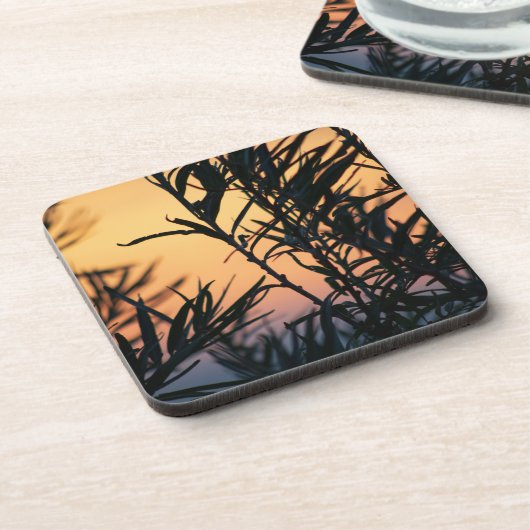 日没の植生 コースター (左側)