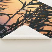 日没の植生 シェルパブランケット (3/4)