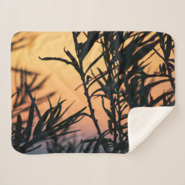 日没の植生 シェルパブランケット