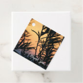 日没の植生 フェイバータグ (インサイチュ)