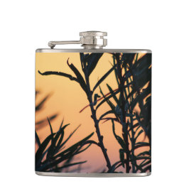 日没の植生 フラスク