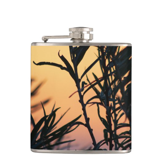 日没の植生 フラスク (正面)