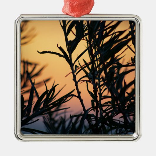 日没の植生 メタルオーナメント (正面)