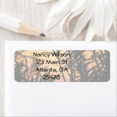 日没の植生 ラベル (インサイチュ)