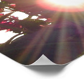 日没の炎の花* ポスター (角)