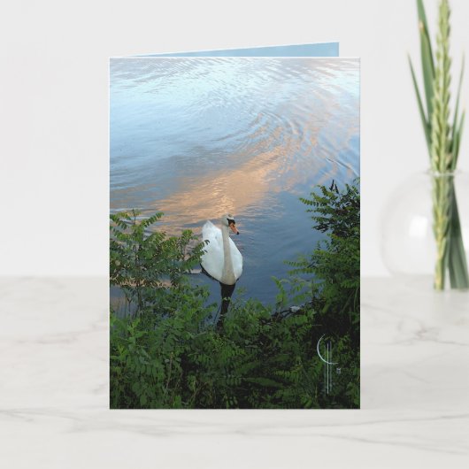 日没の白鳥 カード (正面)