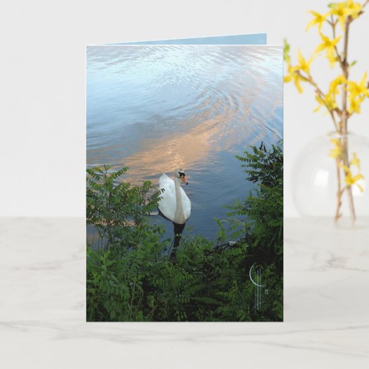日没の白鳥 カード (黄色い花)
