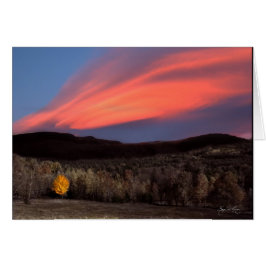 日没の真赤に燃えてかえで