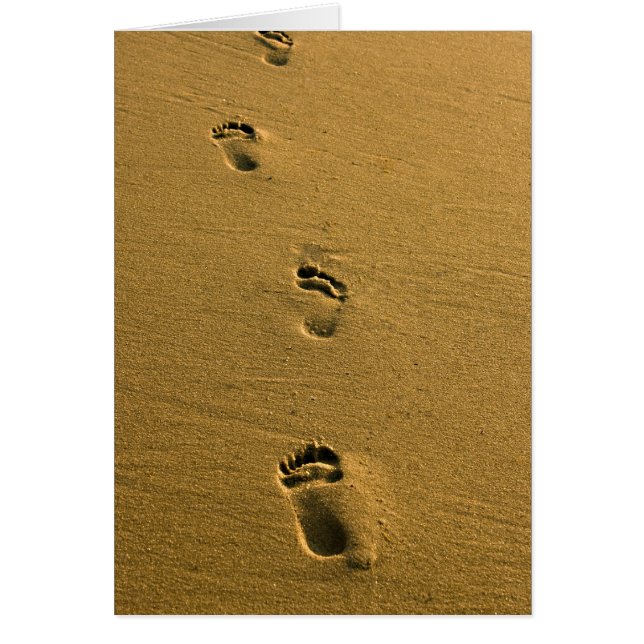 日没の砂 (正面)