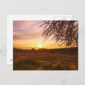 日没の秋のラベンダー畑 ポストカード (正面/裏面)