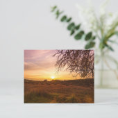 日没の秋のラベンダー畑 ポストカード (スタンド正面)