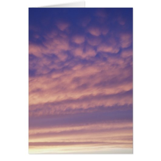 日没の空 (正面)