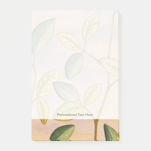 日没の背景に葉緑と黄色の ポストイット (正面)