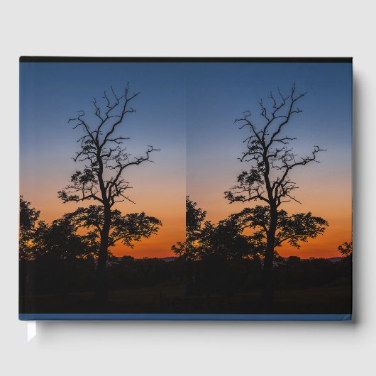 日没の背景の木 ゲストブック (正面)