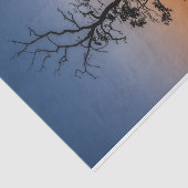 日没の背景の木 薄葉紙 (詳細)