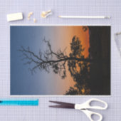 日没の背景の木 薄葉紙 (クラフト)