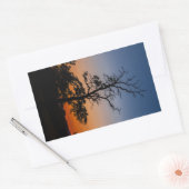 日没の背景の木 長方形シール (封筒)