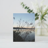 日没の草 ポストカード (スタンド正面)