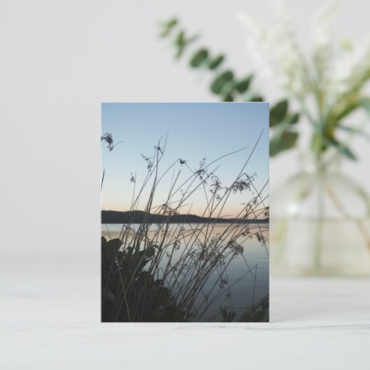 日没の草 ポストカード (スタンド正面)