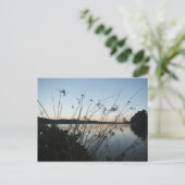 日没の草 ポストカード (スタンド正面)