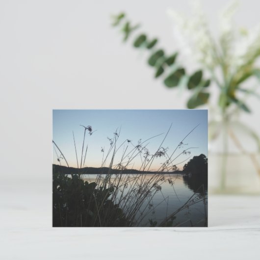 日没の草 ポストカード (スタンド正面)