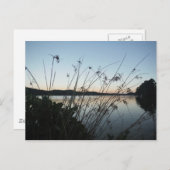 日没の草 ポストカード (正面/裏面)