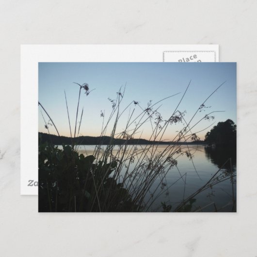日没の草 ポストカード (正面/裏面)