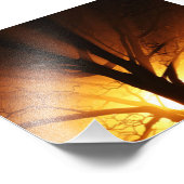 日没の裸の木 フォトプリント            (角)