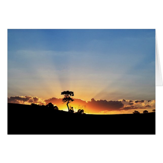 日没の農場Londrina (正面横)