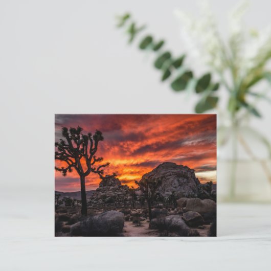 日没の郵便はがきのジョシュアツリーの国立公園 ポストカード (スタンド正面)