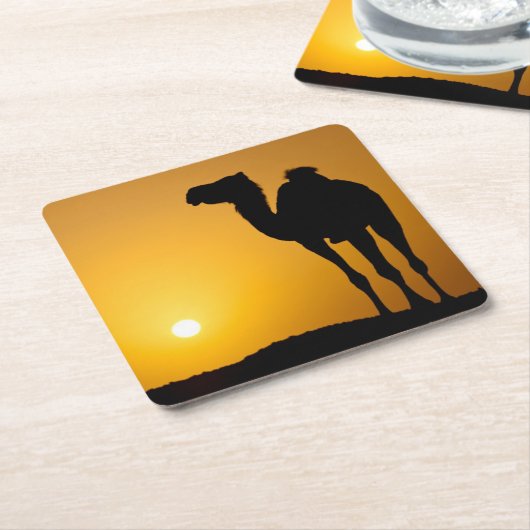 日没の野生のラクダのシルエット スクエアペーパーコースター (アングル)