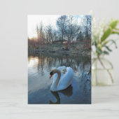 日没の間に湖の白鳥 (スタンド正面)