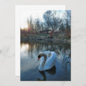 日没の間に湖の白鳥 (正面/裏面)