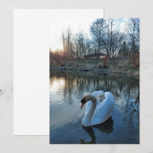 日没の間に湖の白鳥 (正面/裏面)