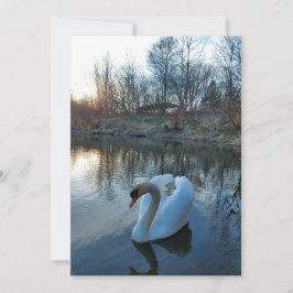 日没の間に湖の白鳥