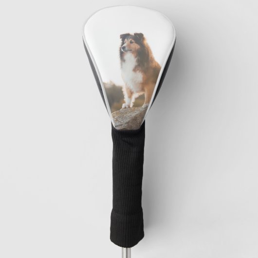 日没の間に聞かれる崖の保護のシェットランド・シープドッグ ゴルフヘッドカバー (正面)