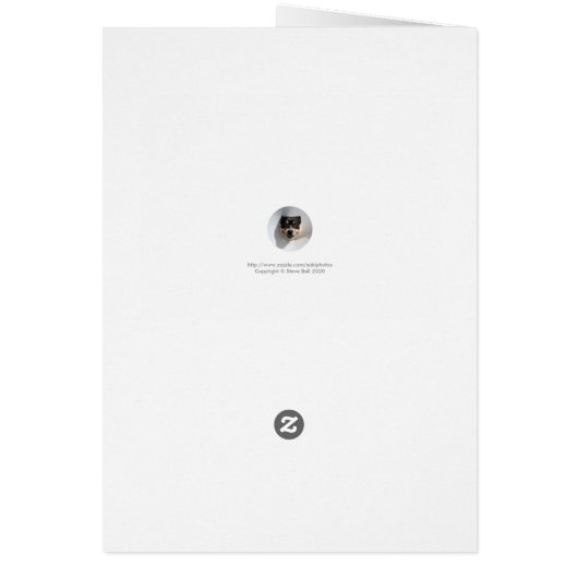 日没の雲 (裏面)