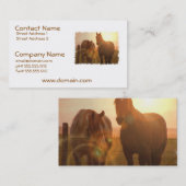 日没の馬の名刺 名刺 (正面/裏面)