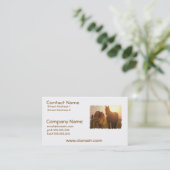 日没の馬の名刺 名刺 (スタンド正面)