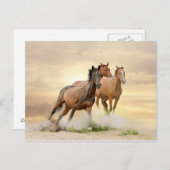 日没の馬 ポストカード (正面/裏面)