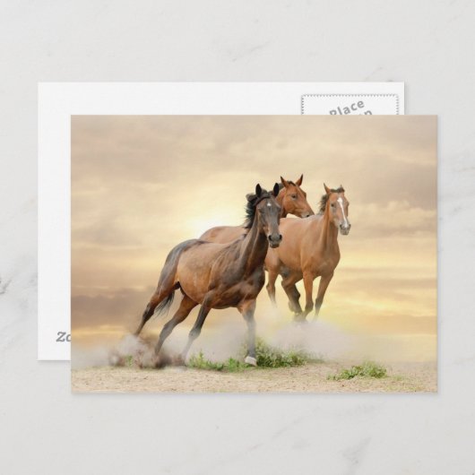 日没の馬 ポストカード (正面/裏面)