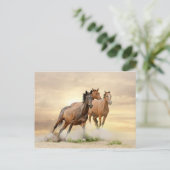 日没の馬 ポストカード (スタンド正面)