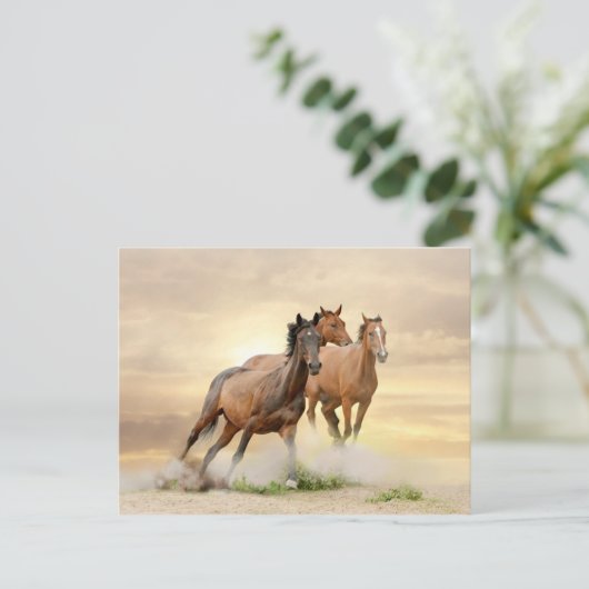 日没の馬 ポストカード (スタンド正面)