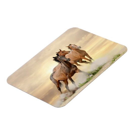 日没の馬 マグネット (左側)