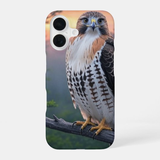 日没の鷹 iPhone 16ケース (裏面)