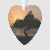 日没のDivi Diviの木 オーナメント (正面)