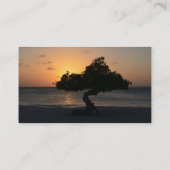 日没のDivi Diviの木 名刺 (裏面)