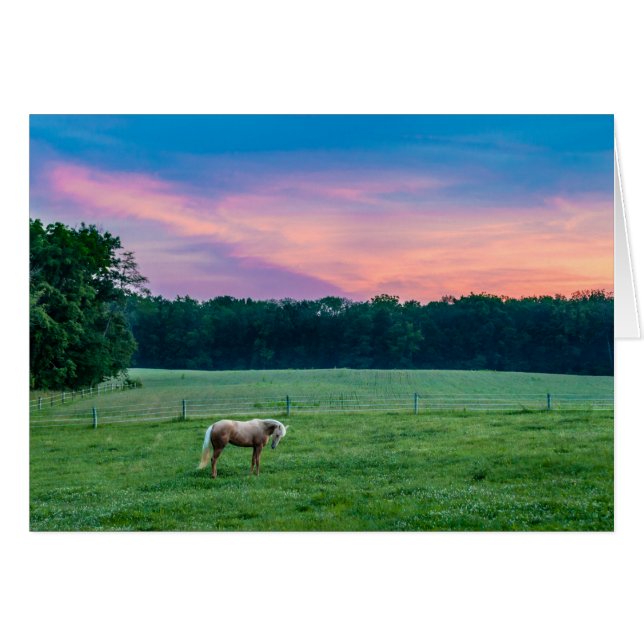 日没のGarmin (正面横)